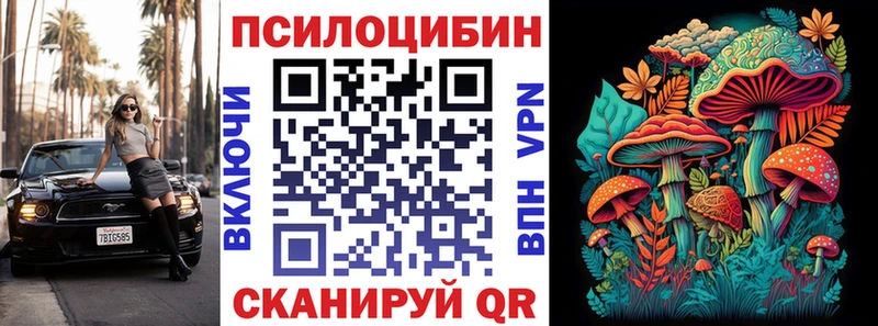 Псилоцибиновые грибы MAGIC MUSHROOMS  OMG tor  Купино 